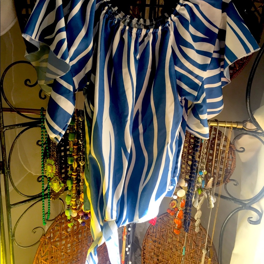 Woman’s Blue Zebra print top